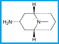 GRANISETRON EP IMPURITY E / GRANISETRON USP RC E